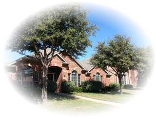 Tree Service McKinney, Texas